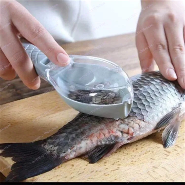 Kitchen Gadgets Popular - قطعة أثرية كشط مقياس السمك الشهيرة