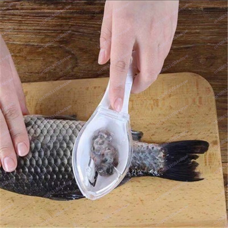 قطعة أثرية كشط مقياس السمك الش - مراجعة Kitchen Gadgets Popular وسعره
